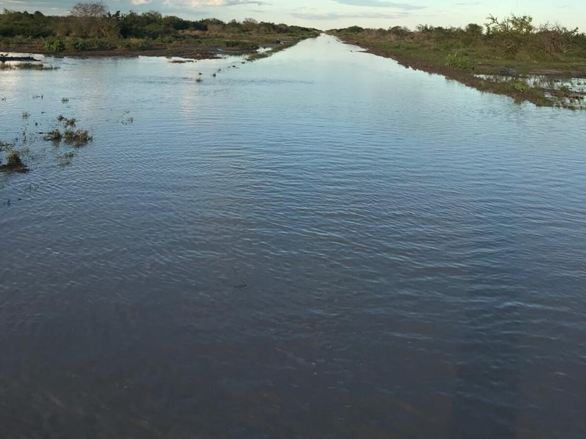 Floodplain landscape across the Kenya–Somalia borderland corridor